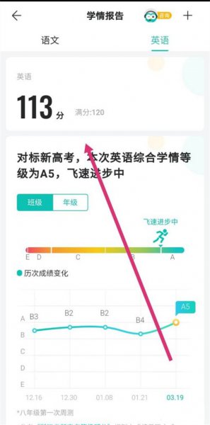智学网怎么隐藏分数