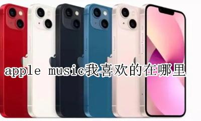 apple music怎么找歌 apple music我喜欢的在哪里