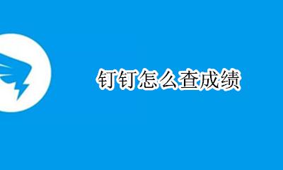 钉钉怎么查成绩 钉钉软件怎样查成绩