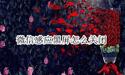 微信感应黑屏怎么关闭 怎样关闭微信黑屏模式