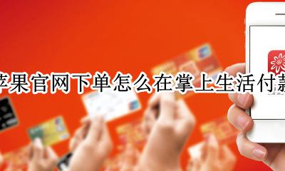苹果订单怎么在掌上生活付款 苹果官网下单怎么在掌上生活付款