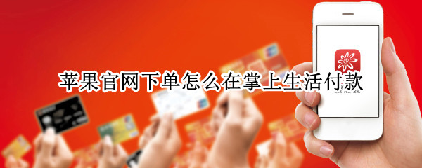 苹果官网下单怎么在掌上生活付款