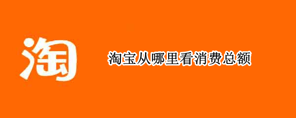 淘宝从哪里看消费总额