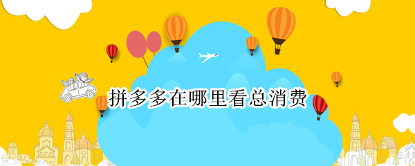 拼多多在哪里看总消费