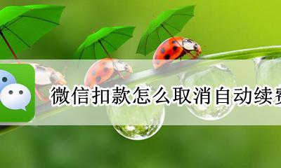 微信里面取消自动续费 微信扣款怎么取消自动续费