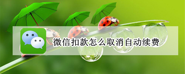 微信扣款怎么取消自动续费