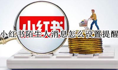 小红书陌生人消息在哪 小红书陌生人消息怎么设置提醒