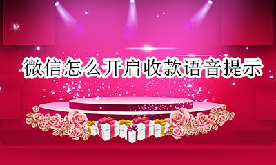 微信如何开收款语音提醒 微信怎么开启收款语音提示