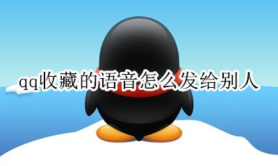 qq收藏的语音怎么发给别人 怎么能把qq收藏的语音发给别人