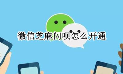微信芝麻闪呗怎么开通 如何开通