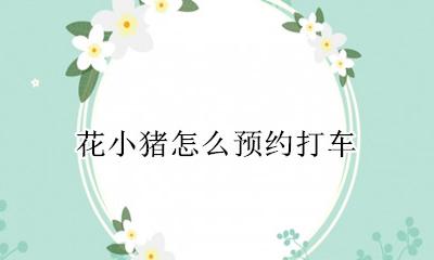 花小猪怎么预约打车 花小猪打车怎么预约时间