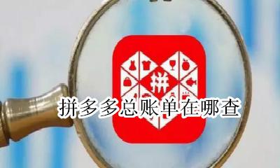 拼多多总账单在哪查 拼多多账单在哪里看