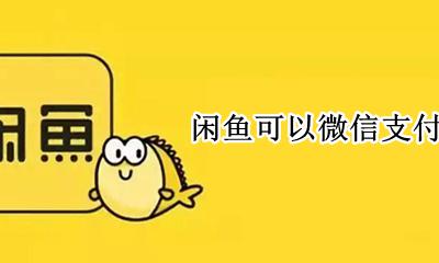 闲鱼可以微信支付不 闲鱼可以微信支付的嘛