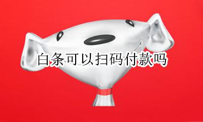 白条可以扫码付款吗 白条不支持扫码支付