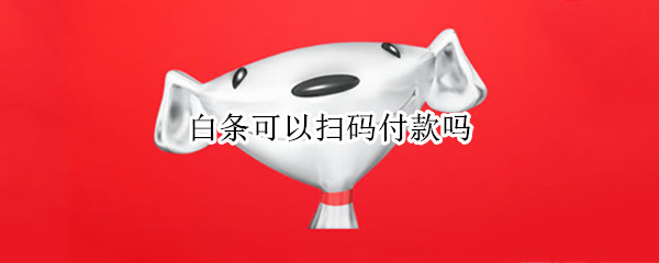 白条可以扫码付款吗