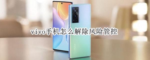 vivo手机怎么解除风险管控