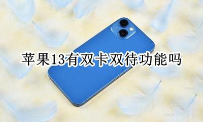 苹果13能双卡双待 苹果13有双卡双待功能吗