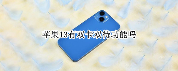 苹果13有双卡双待功能吗