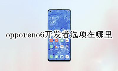 opporeno6开发者选项在哪里 opporeno6手机的开发者选项在哪里