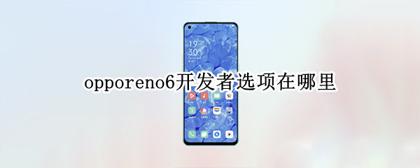 opporeno6开发者选项在哪里