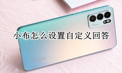 小布设置功能 小布怎么设置自定义回答