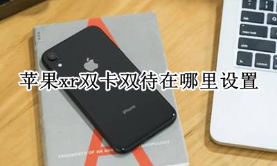 苹果xr双卡双待在哪里设置 苹果xr怎么设置双卡双待具体步骤