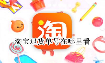 淘宝退货单号在哪里看 淘宝退货的订单号在哪里看