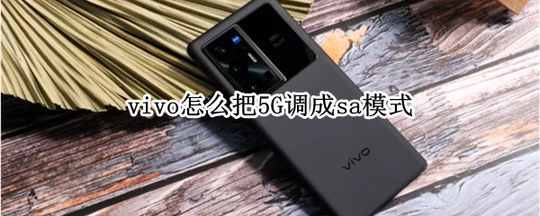 vivo怎么把5G调成sa模式