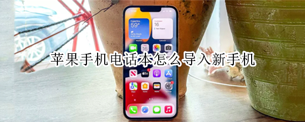 苹果手机电话本怎么导入新手机