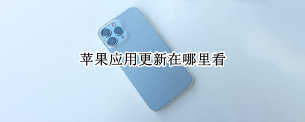 苹果应用更新在哪里看