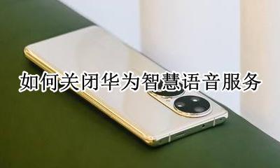 彻底关闭华为智慧语音 如何关闭华为智慧语音服务