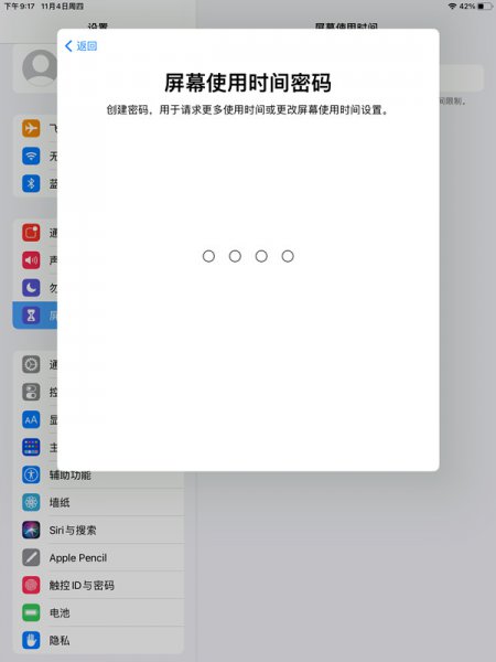 ipad青少年模式在哪里设置
