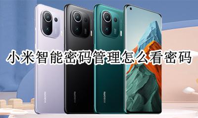小米智能密码管理怎么看密码 小米智能密码管理怎么看账号