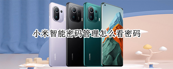 小米智能密码管理怎么看密码