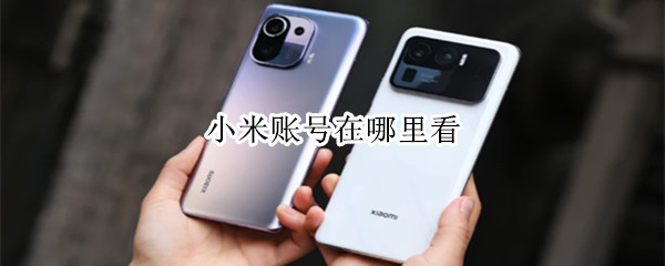 小米账号在哪里看