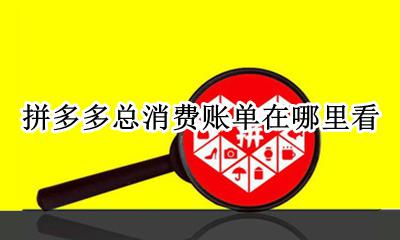 拼多多总消费账单在哪里看 拼多多消费账单明细怎么查