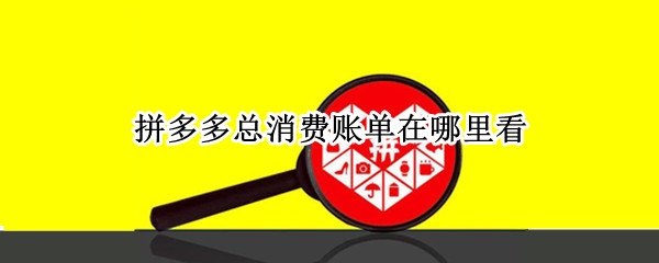 拼多多总消费账单在哪里看
