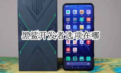 黑鲨开发者选项在哪 黑鲨开发者模式在哪里有什么用