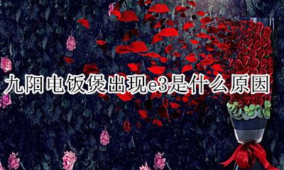九阳电饭煲出现e3是什么原因 九阳电饭煲出现e3是怎么回事