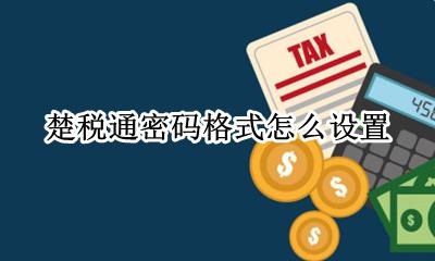 楚税通密码格式怎么设置 怎么设置密码