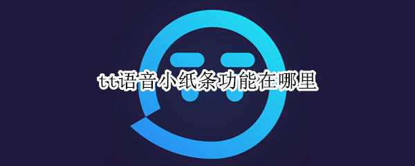 tt语音小纸条功能在哪里
