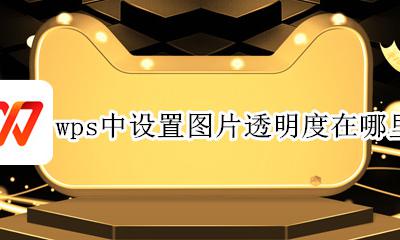 wps中图片透明度怎么调 wps中设置图片透明度在哪里