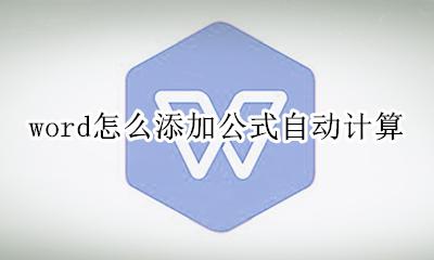 word公式怎么自动计算 word怎么添加公式自动计算