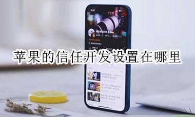 苹果手机信任在哪里设置 苹果的信任开发设置在哪里