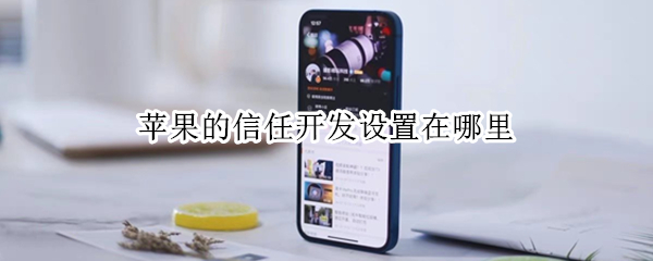 苹果的信任开发设置在哪里