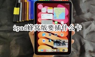 ipad蜂窝版要插什么卡 ipadpro蜂窝版要插什么卡