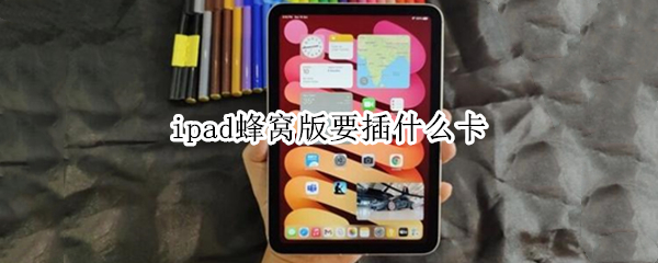 ipad蜂窝版要插什么卡