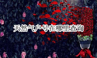 天然气户号在哪里查询 怎么样查询天然气户号