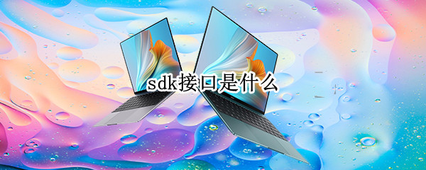 sdk接口是什么