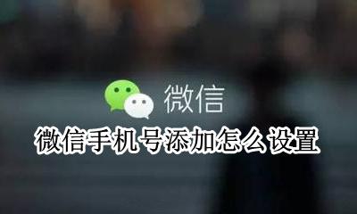 微信手机号添加怎么设置 微信如何设置手机号添加